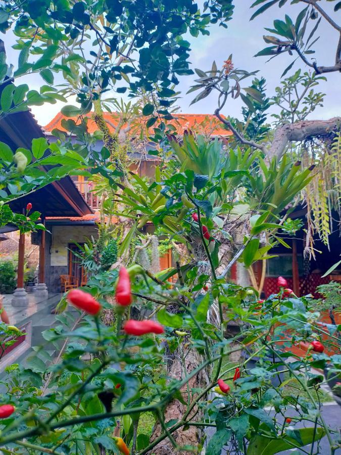 Kubu Tako Homestay Sanur Extérieur photo